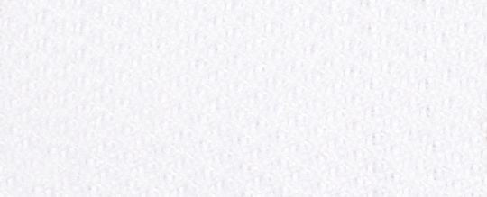 C301 經典 SIGNATURE 帆布休閒鞋