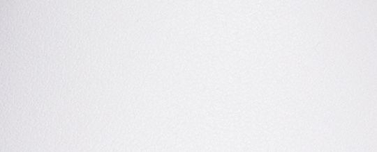 LOWLINE 低筒休閒鞋