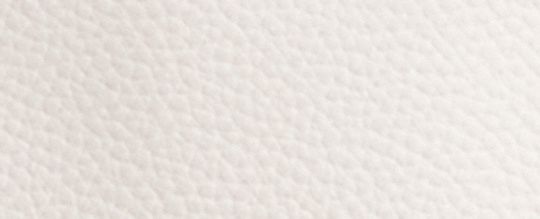 RELAY TOTE 34 COACH 宇宙主題 REXY 恐龍圖樣手袋