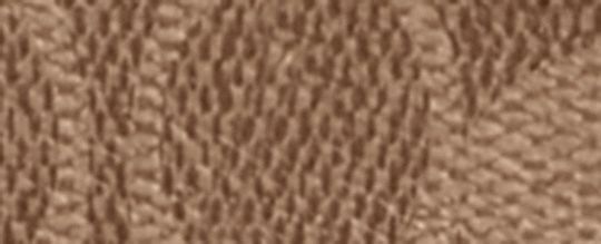 SWINGER 20 COACH 宇宙主題經典 SIGNATURE 帆布徽章手袋