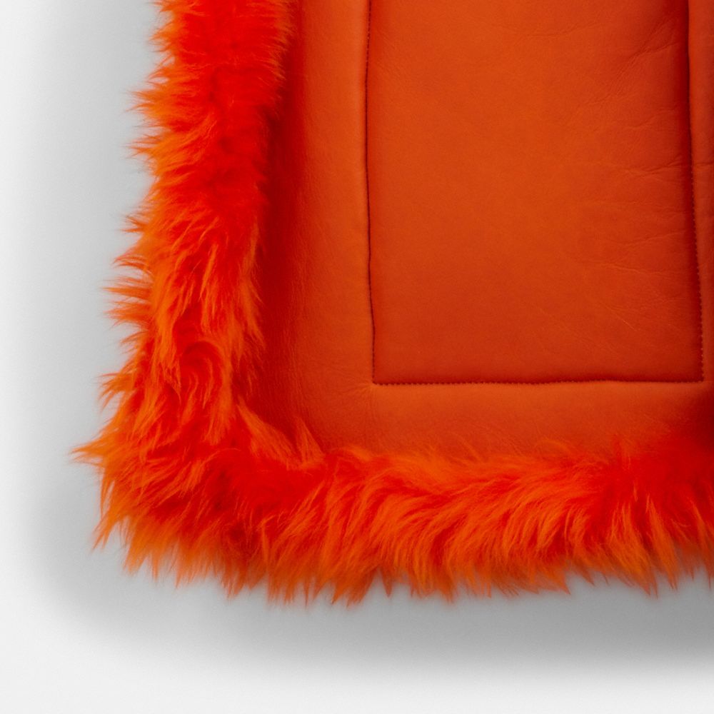 THE LIL NAS X DROP 繽紛色調大衣