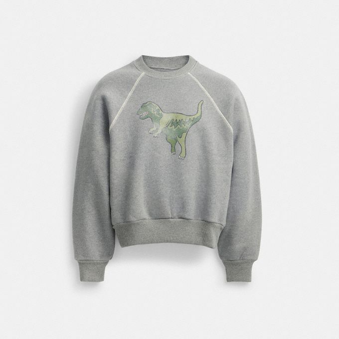 Rexy sweatshirt store