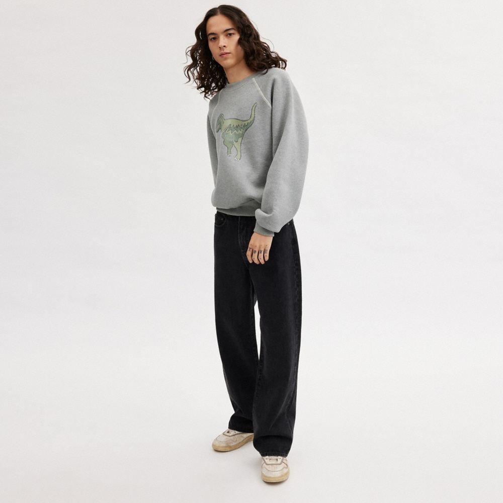 Coach clearance rexy sweatshirt