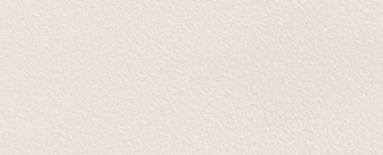 COACH 宇宙主題 REXY 恐龍拉鍊卡夾