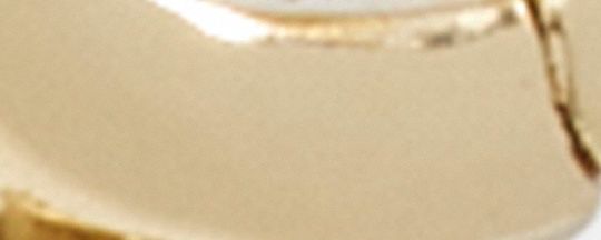 REXY 恐龍琺瑯圓環耳環