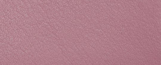 COACH 宇宙主題火箭圖樣拉鍊卡夾