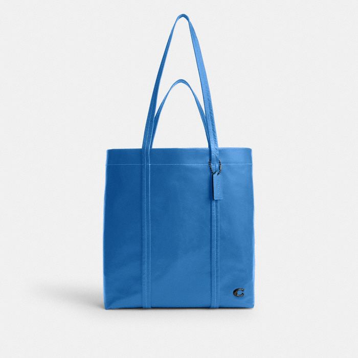 HALL TOTE BAG 33