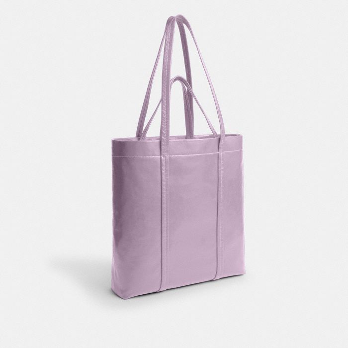 HALL TOTE BAG 33