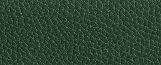 ESSENTIAL MEDIUM FLAP WALLET