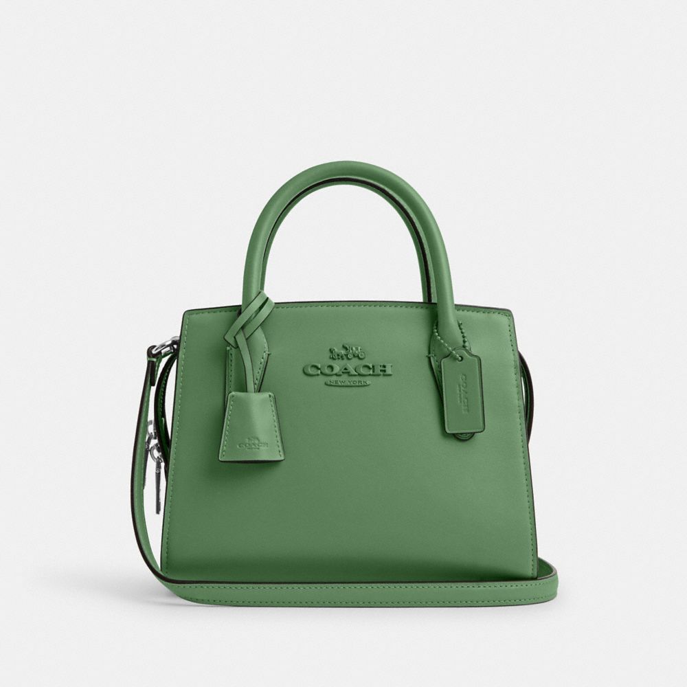 Andrea Carryall - CP081 - Silver/Soft Green