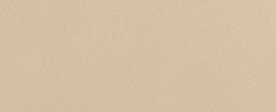 BROOME CARRYALL 手袋