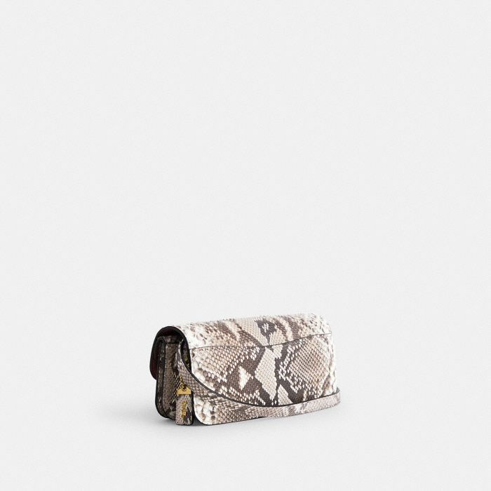 IDOL BAG 23 IN PYTHON