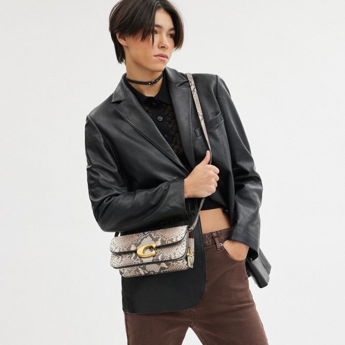 IDOL BAG 23 IN PYTHON
