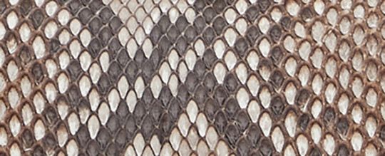 IDOL 23 蟒蛇皮手袋