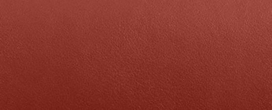 IDOL 23 經典 SIGNATURE 帆布蛇皮細節手袋