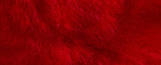 經典 SIGNATURE SHEARLING 小熊造型公仔