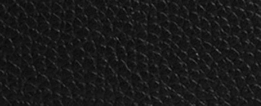 CHARTER 經典 SIGNATURE 皮革斜背手袋，附多功能手包