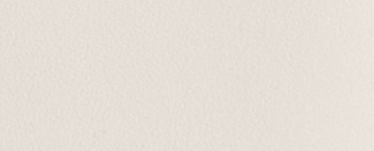 THE LIL NAS X DROP PENN 單肩手袋