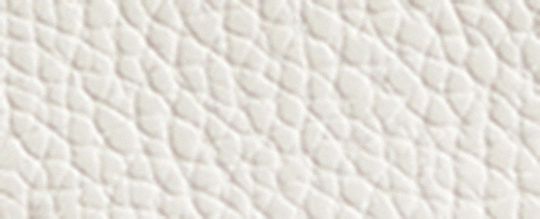 THE LIL NAS X DROP 相機手袋