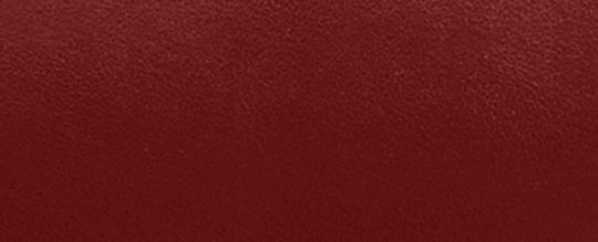 新年系列 SAMMY 21 龍圖案頂部提把手袋