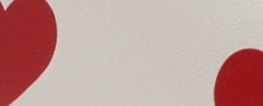 LOWLINE 情人節印花低筒休閒鞋