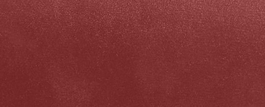 新年系列 IDOL 龍圖案手袋