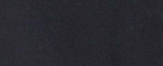 花卉短版經典 SIGNATURE 草寫字體有機棉質 T-SHIRT