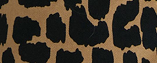 豹紋印花寬版剪裁風衣