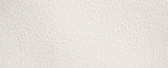 REXY 恐龍徽章棒球帽