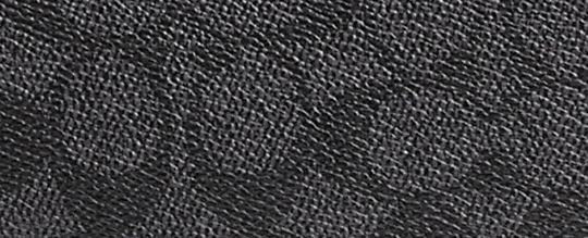 PENN 經典 SIGNATURE 帆布單肩手袋