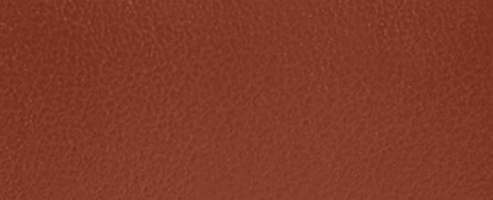 基本款經典 SIGNATURE 帆布輕薄卡夾