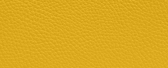 ACCORDION ZIP WALLET