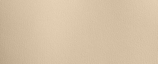 NORTH 32 托特手袋