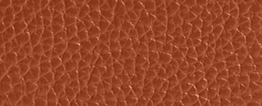 ACCORDION 馬車主題圖案印花拉鍊皮夾