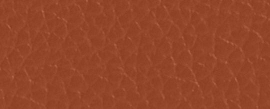 ACCORDION 馬車主題圖案印花拉鍊皮夾