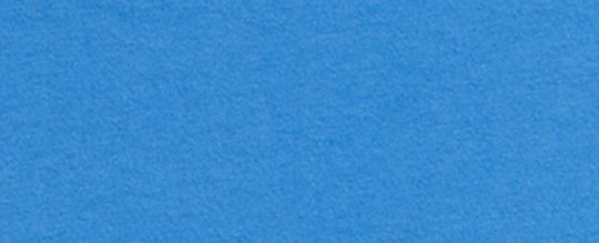 REXY 恐龍有機棉質 T-SHIRT