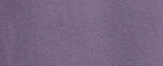 REXY 恐龍有機棉質 T-SHIRT