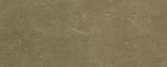 布料染色圓領背心