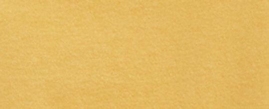 美式風格 T-SHIRT