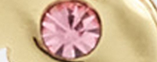 REXY 恐龍骷髏圓圈耳環