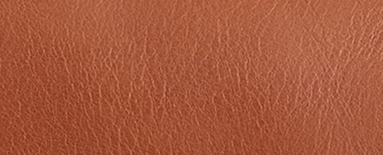 WESTERN TABBY 手袋