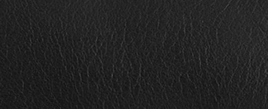 WESTERN TABBY 手袋