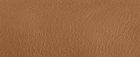 WESTERN TABBY 手袋