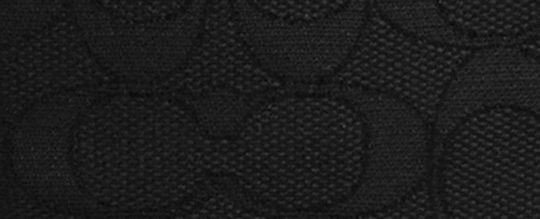 WARREN MINI BELT BAG IN SIGNATURE JACQUARD