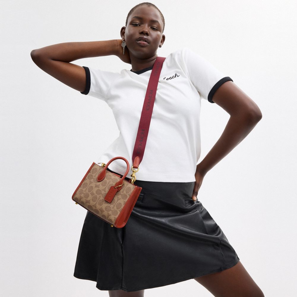 ACE 經典 SIGNATURE 17 帆布托特手袋