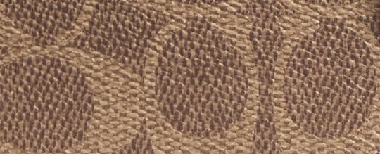 ACE 經典 SIGNATURE 17 帆布托特手袋