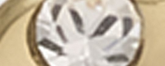 REXY 恐龍骷髏耳針耳環