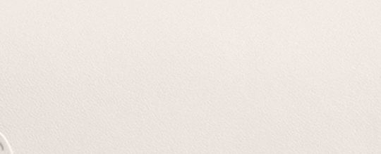 EMMY 23 茶香玫瑰馬鞍包