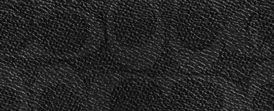 LEAGUE FLAP BACKPACK IN SIGNATURE CANVAS