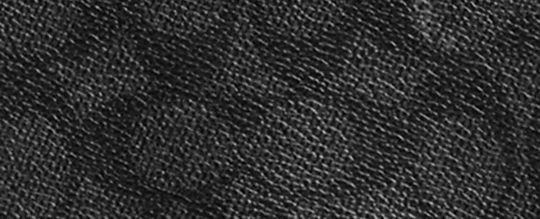 LEAGUE 經典 SIGNATURE 帆布翻蓋後背包